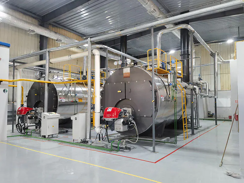 Mongolia boiler project