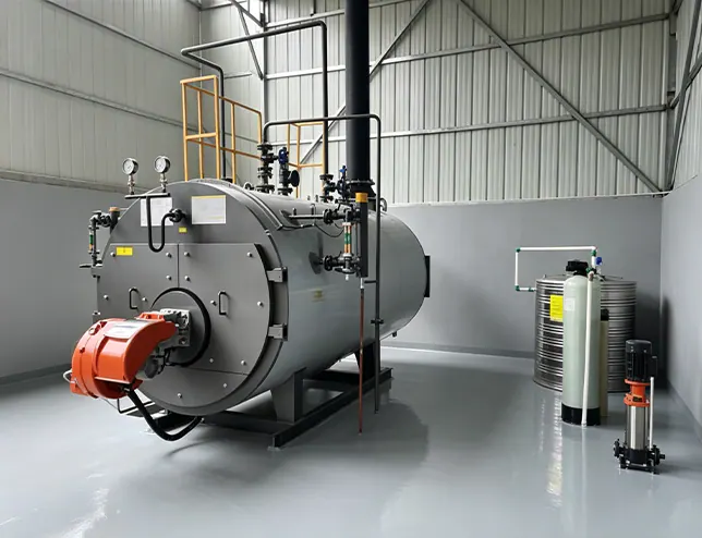 WNS1 steam boiler for a wool mill — Zhejiang