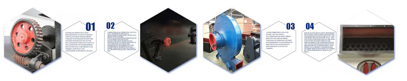 DZL Biomass/Coal Fired Steam Boiler