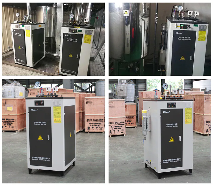 LDR Inspection-Free Electric Steam Generator