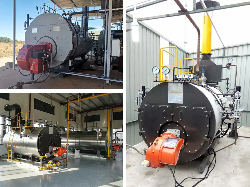 WNS Oil/Gas Fired Steam Boiler