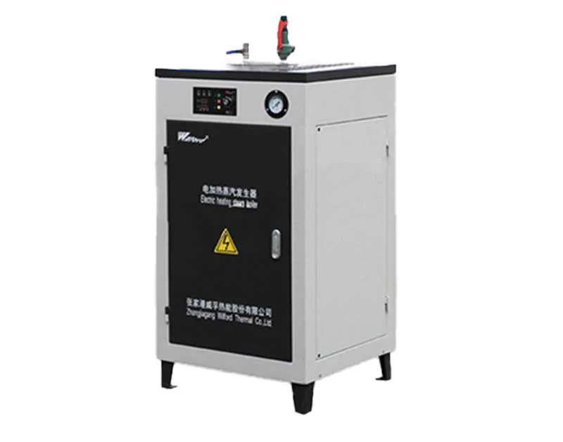 LDR Inspection-Free Electric Steam Generator