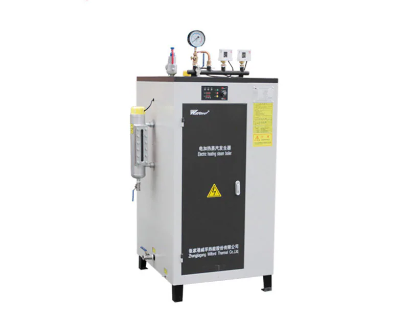 LDR Inspection-Free Electric Steam Generator